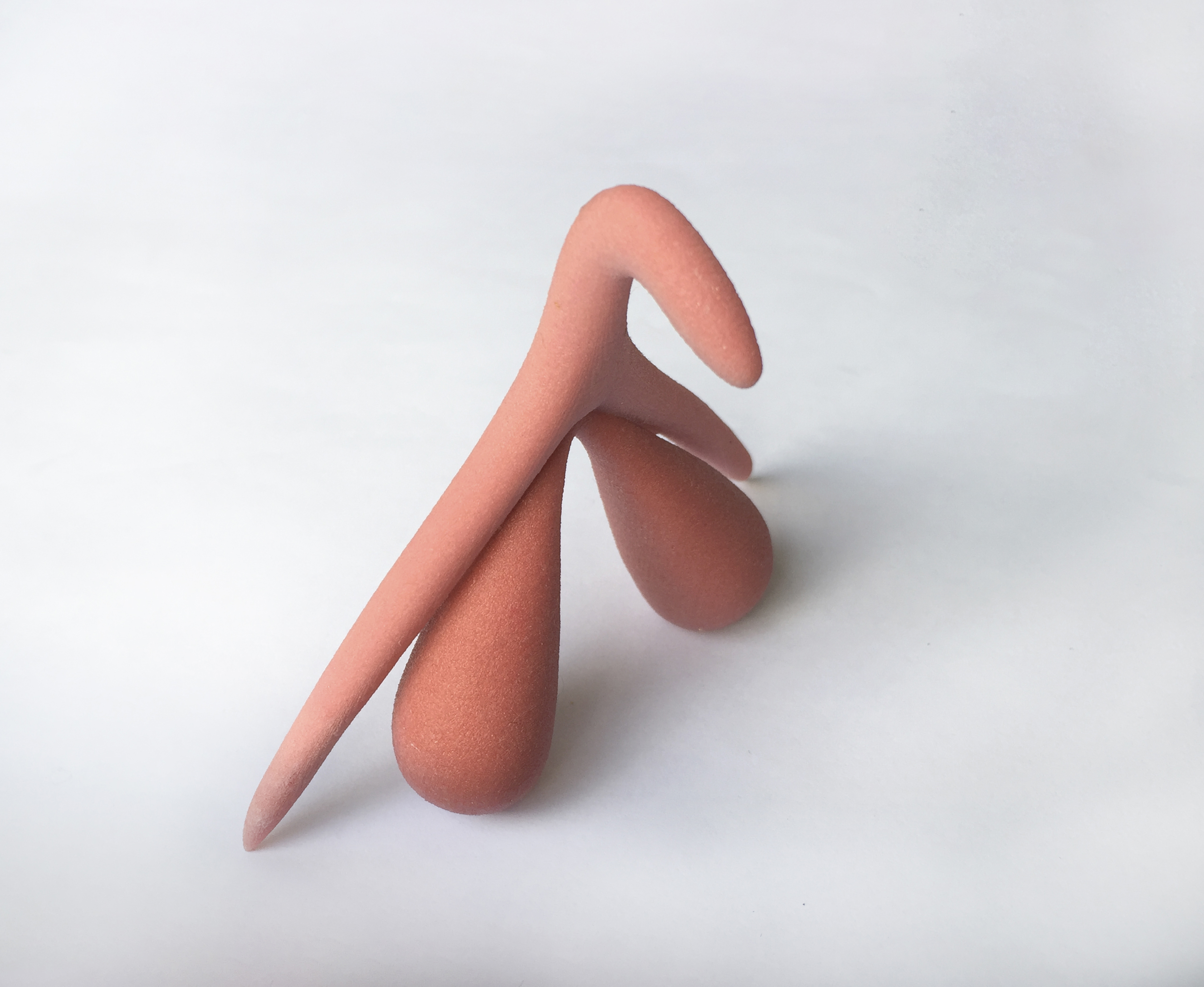 Photo clitoris 3D - modèle anatomique complet montrant gland, corps et piliers